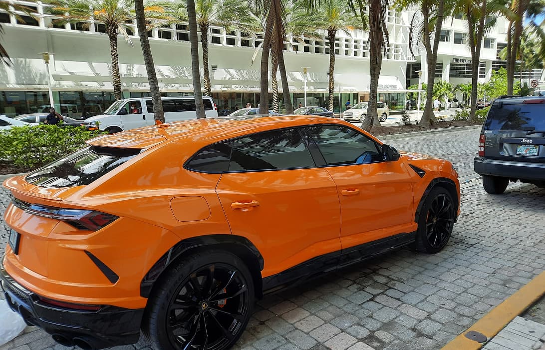 Urus miniature