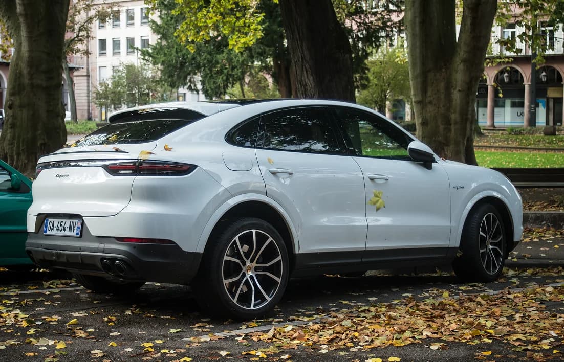 E-Cayenne miniature