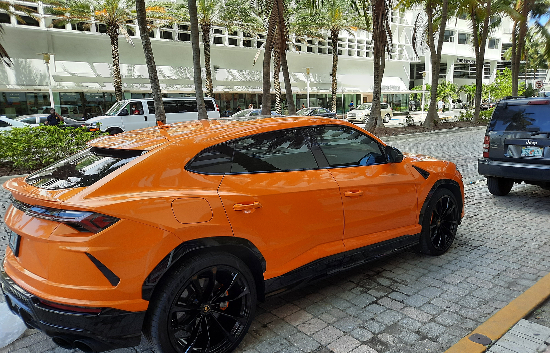 Urus miniature