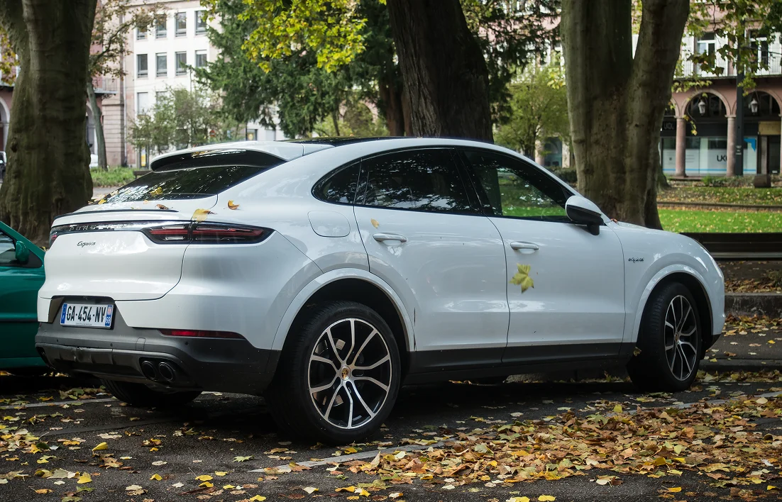 E-Cayenne miniature